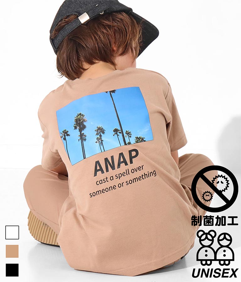 ݥݥåդѡĥ꡼ӥåT