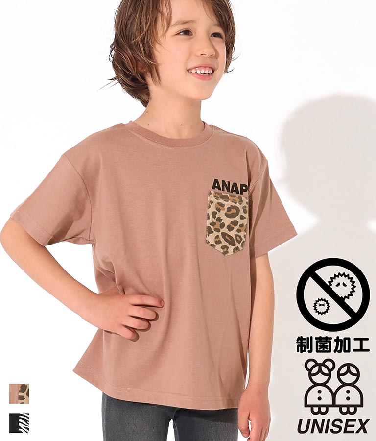 ݥ˥ޥݥåȥӥåT