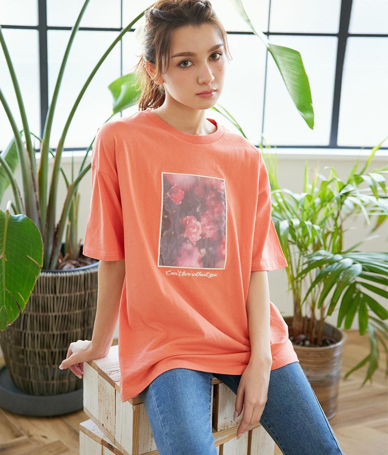 シアーフォトプリントTシャツ(トップス/Tシャツ) | CHILLE