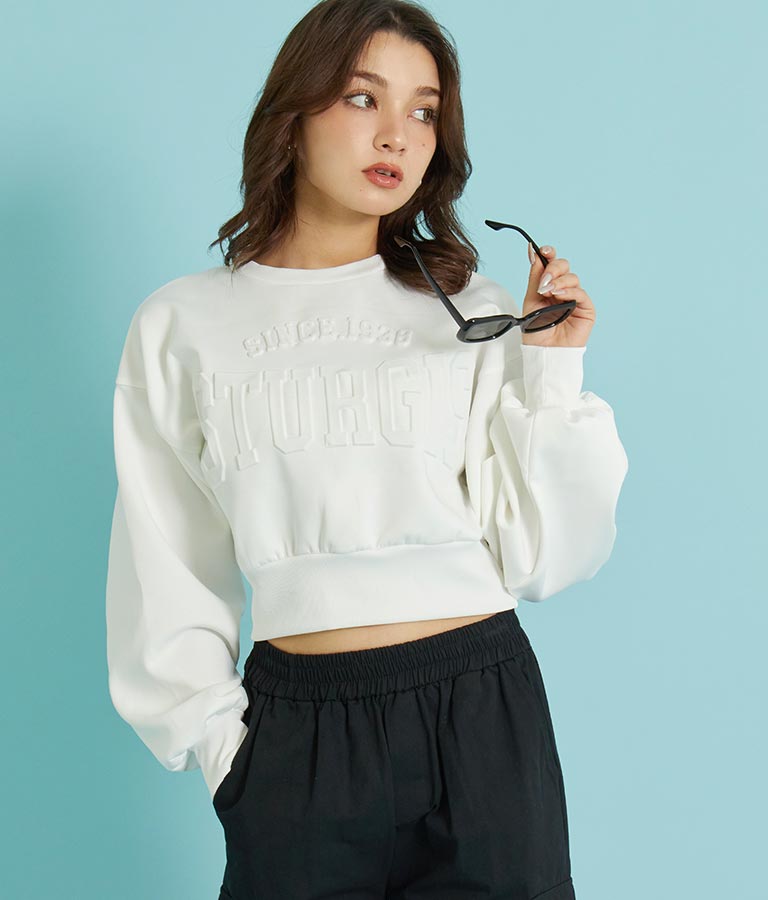 ����ܡ��륨��ܥ����������åץɥץ륪���С�